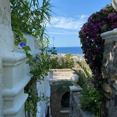 Somptuous Exotic In * Cannes